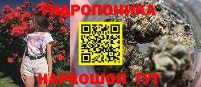 бошки Будённовск