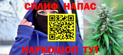 бошки Будённовск