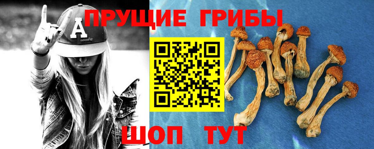Псилоцибиновые грибы MAGIC MUSHROOMS  Вход с VPN  Ревда 